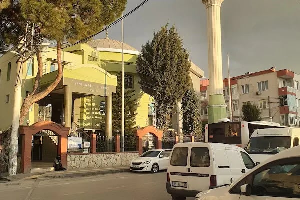 Avni Naili Limboz Camii - Resim 8