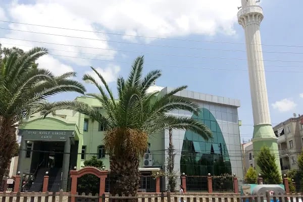 Avni Naili Limboz Camii - Resim 3