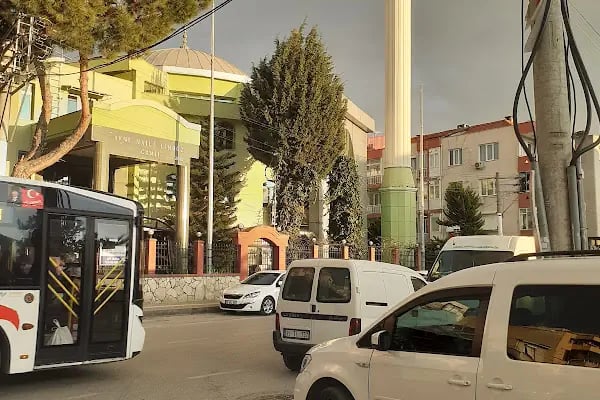Avni Naili Limboz Camii - Resim 20
