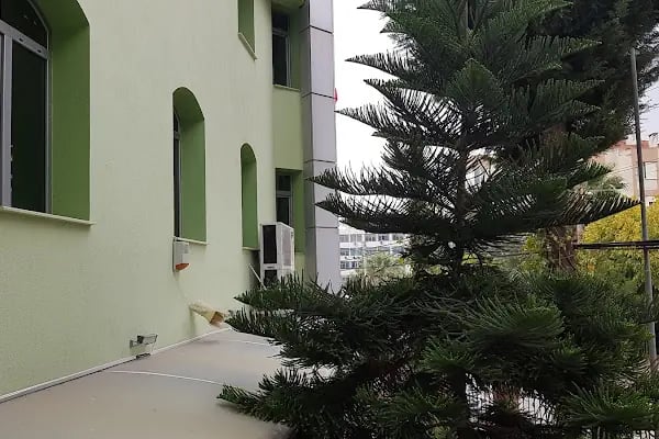 Avni Naili Limboz Camii - Resim 17