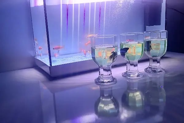 Babacan pet shop Eryaman - Resim 2