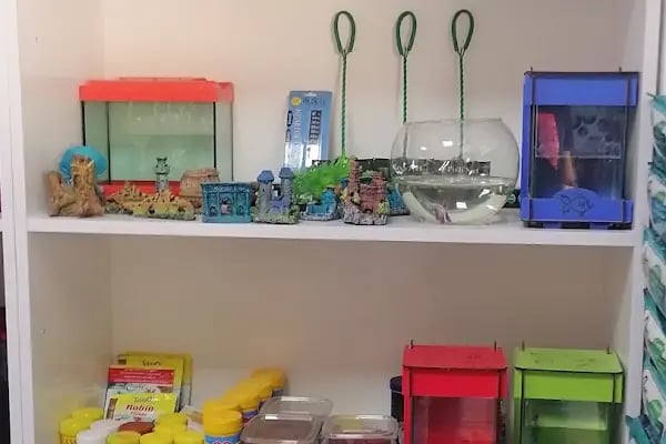 Babacan pet shop Eryaman - Resim 18