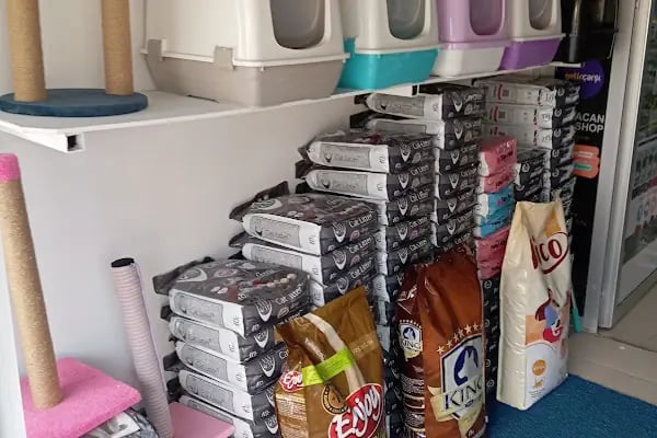 Babacan pet shop Eryaman - Resim 15