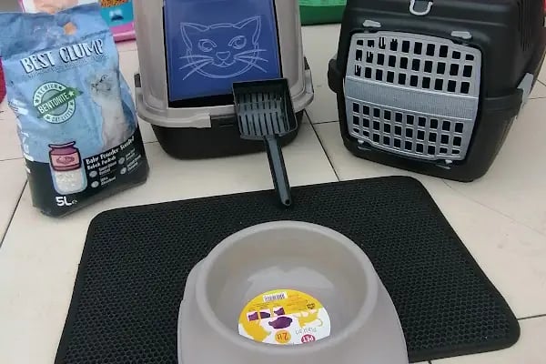 Babacan pet shop Eryaman - Resim 5