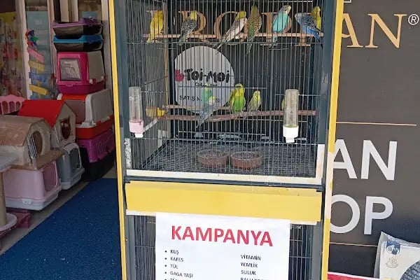 Babacan pet shop Eryaman - Resim 11