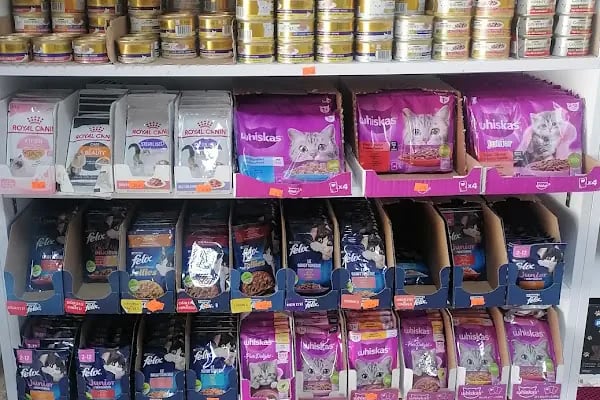 Babacan pet shop Eryaman - Resim 12