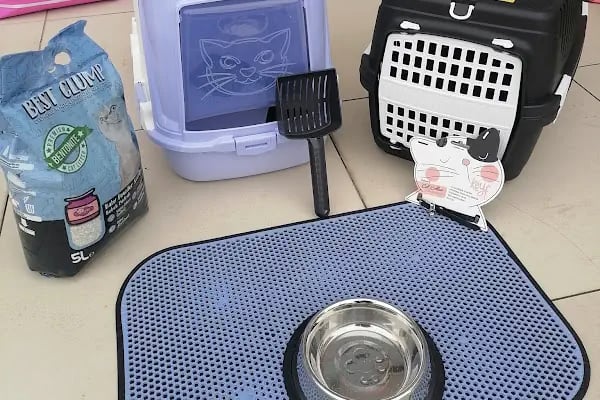 Babacan pet shop Eryaman - Resim 17