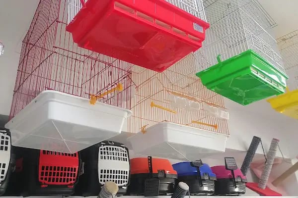 Babacan pet shop Eryaman - Resim 9