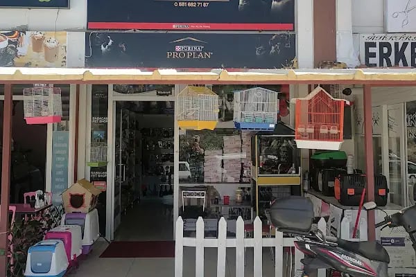 Babacan pet shop Eryaman - Resim 1