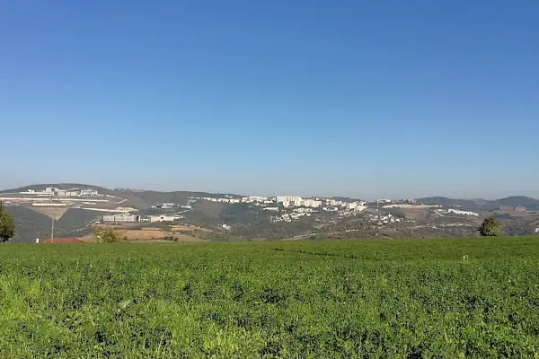 Kocaeli Üniversitesi - Resim 10
