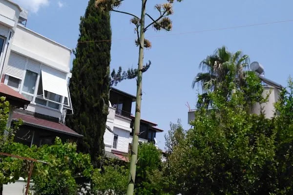 Altınkent Tatil Sitesi - Resim 20