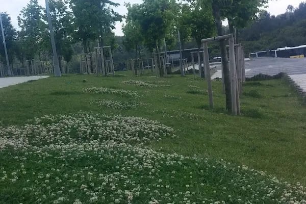 T.C. Sosyal Güvenlik Kurumu Rehberlik ve Teftiş İstanbul 1 No'lu Grup Başkanlığı - Resim 1