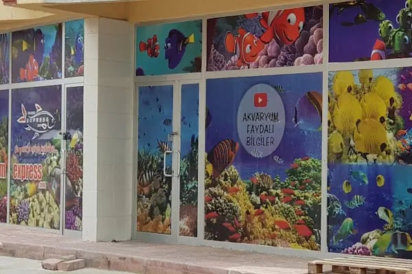 Akvaryum Express gebze pet shop - Resim 2