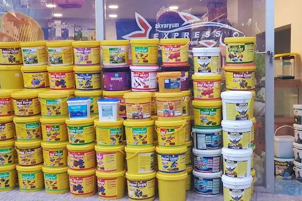 Akvaryum Express gebze pet shop - Resim 3