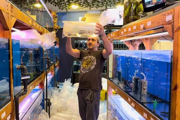 Akvaryum Express gebze pet shop - Resim 11