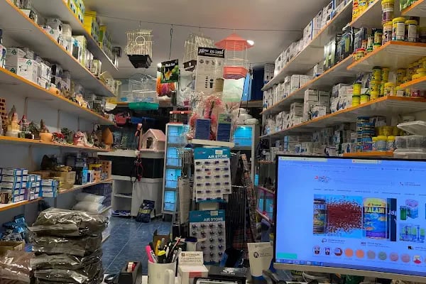 Akvaryum Express gebze pet shop - Resim 6