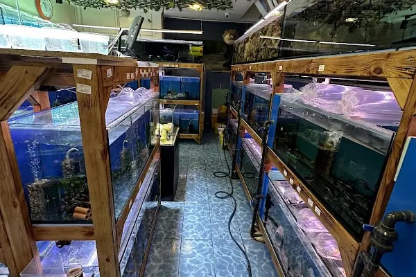 Akvaryum Express gebze pet shop - Resim 8