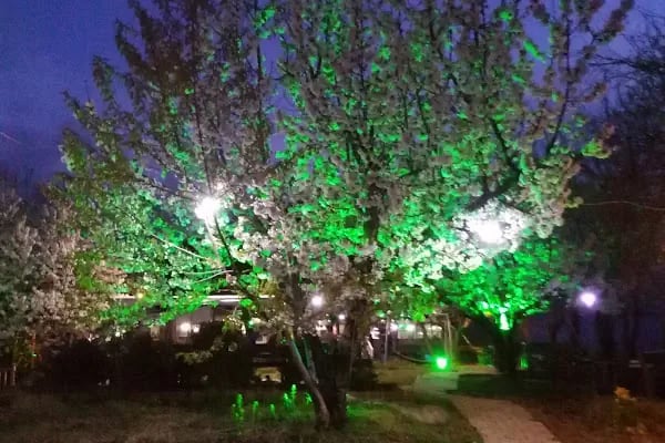 Keyfi Tepe - Resim 20