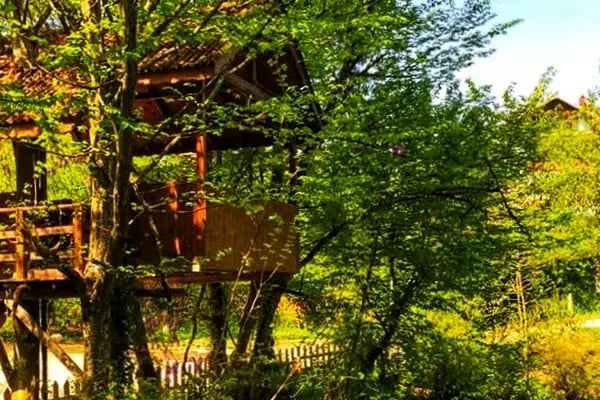 Altındere Karcı Alabalık Tesisleri - Resim 13