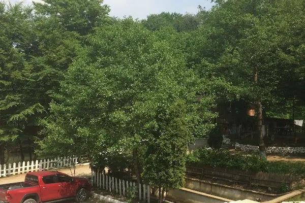 Altındere Karcı Alabalık Tesisleri - Resim 18