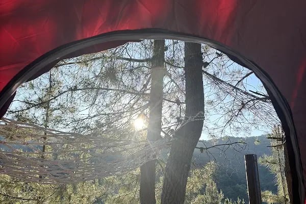 Kozalak camp - Resim 20