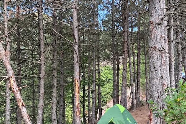 Kozalak camp - Resim 12