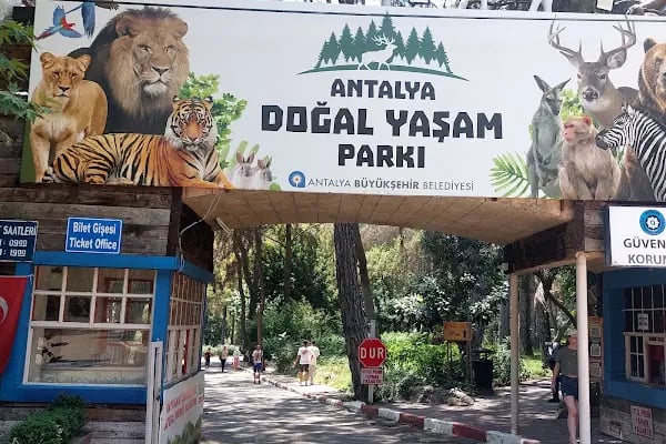 Antalya Hayvanat Bahçesi Piknik Alanı - Resim 15
