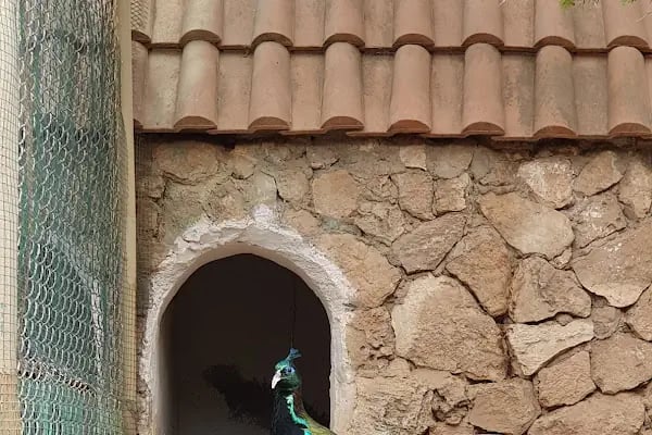 Antalya Hayvanat Bahçesi Piknik Alanı - Resim 20