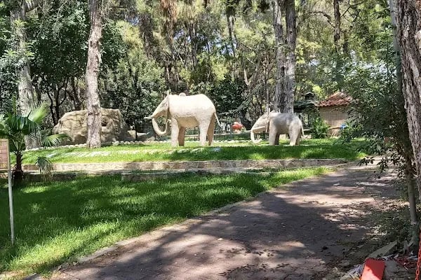 Antalya Hayvanat Bahçesi Piknik Alanı - Resim 3
