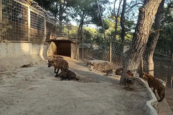 Antalya Hayvanat Bahçesi Piknik Alanı - Resim 4