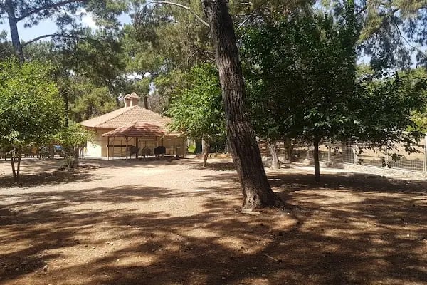 Antalya Hayvanat Bahçesi Piknik Alanı - Resim 8