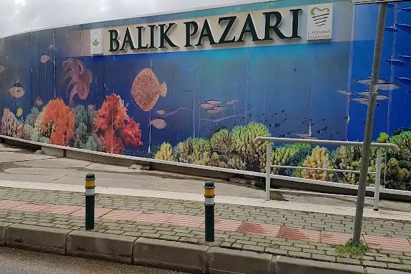 Osmangazi Belediyesi Çarşamba Pazarpark Oto Parkı - Resim 14