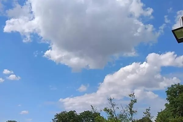 Osmangazi Belediyesi Çarşamba Pazarpark Oto Parkı - Resim 5