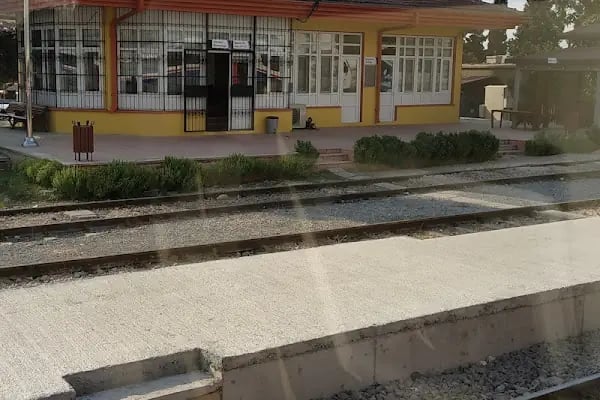 Taşkent Tren İstasyonu - Resim 20