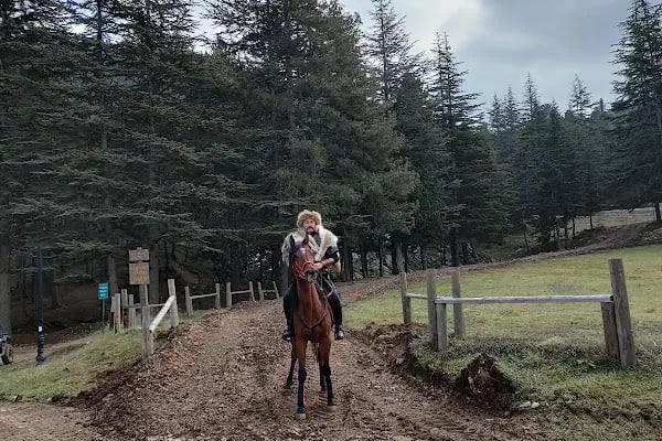 Kahramanmaraş Atlı Binicilik Spor Klubü - Resim 18