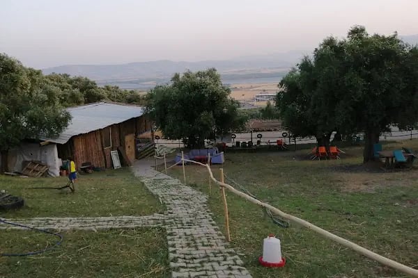 Kahramanmaraş Atlı Binicilik Spor Klubü - Resim 17