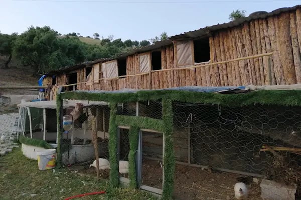 Kahramanmaraş Atlı Binicilik Spor Klubü - Resim 19