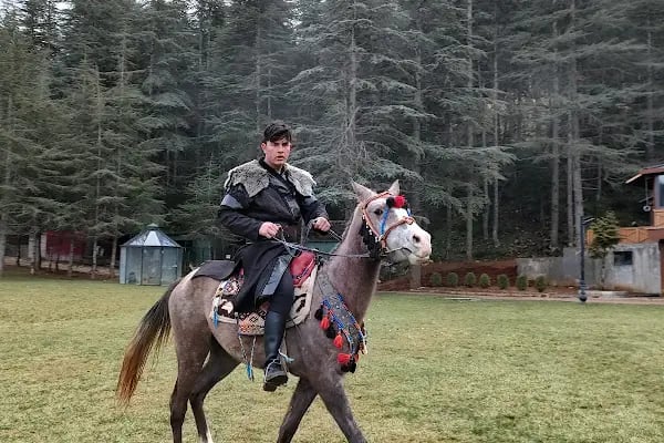 Kahramanmaraş Atlı Binicilik Spor Klubü - Resim 3