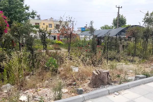 Anamur Düşbahçem Peyzaj - Resim 7