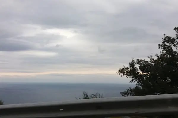 Anamur Düşbahçem Peyzaj - Resim 9