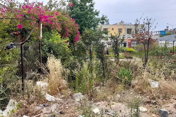 Anamur Düşbahçem Peyzaj - Resim 2