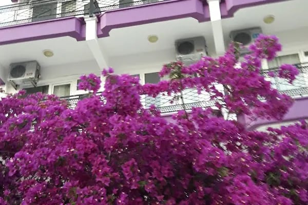 Eda Motel - Resim 18