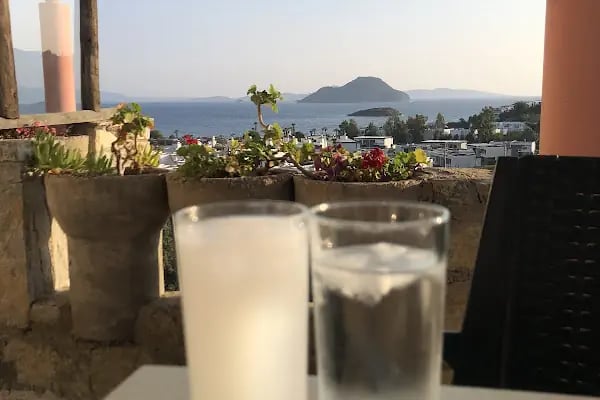 Armonia yüzme havuzu 2 - Resim 3