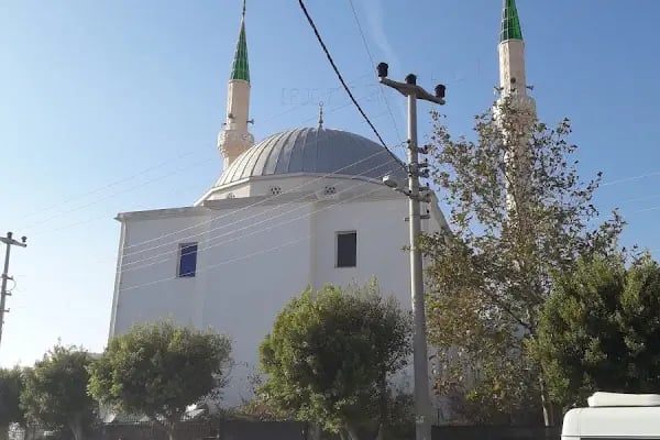 Merkez Yeni Cami - Resim 16