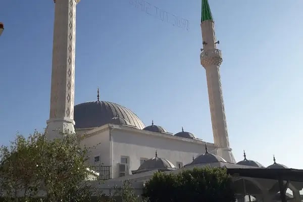 Merkez Yeni Cami - Resim 11