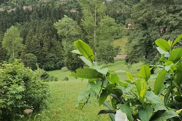 Balıklı Göl - Resim 18