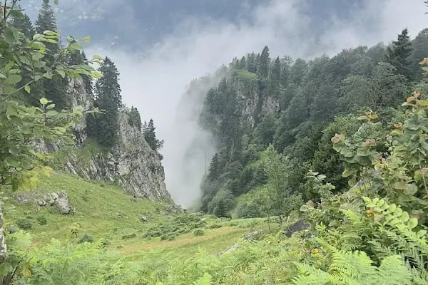 Balıklı Göl - Resim 5