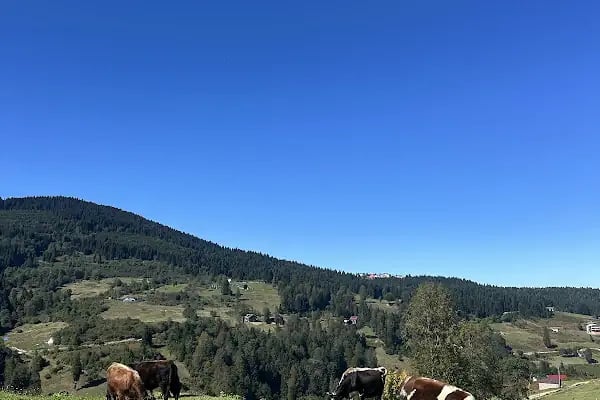 Balıklı Göl - Resim 12