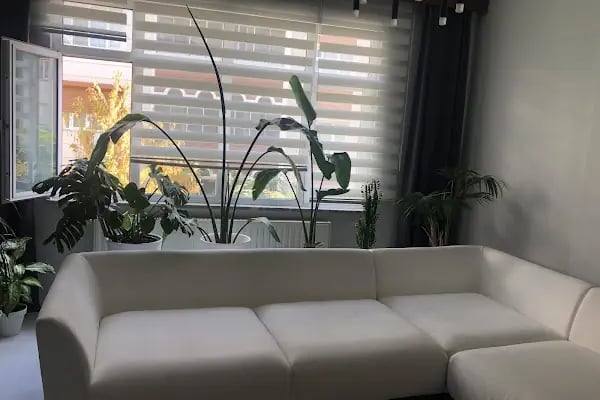 Duru Koltuk Yıkama - Resim 5
