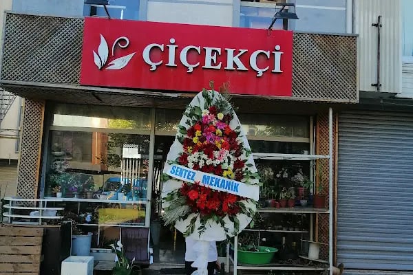 Esenler - Bizim çiçek evi - Resim 8